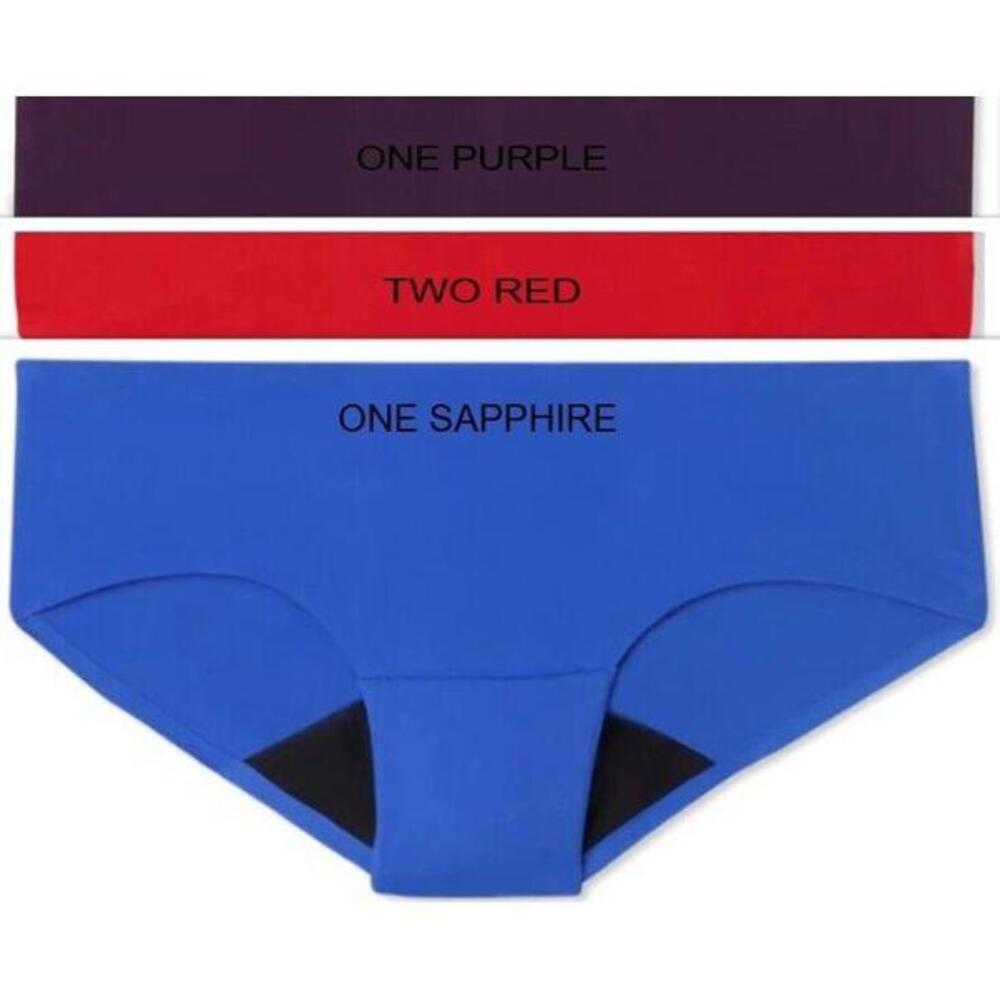 4 PAIR VARIETY RUBY BLISS HIPSTER LEAK PROOF PERIOD PROTECTION PANTIES WOMEN 3XL